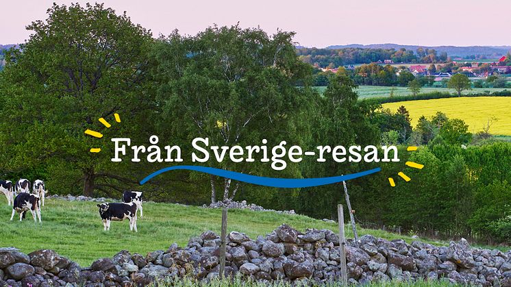 Med Från Sverige-resan fortsätter vi att tillsammans med tidningen Land dela inspiration och kunskap om svenska råvaror, livsmedel och växter. 