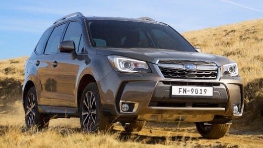 Forester XL