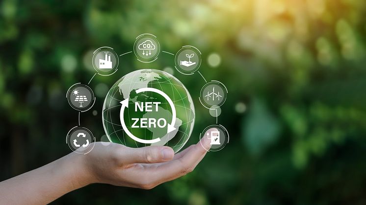 Transitioning-to-Net-Zero-What-Investors-Need-to-Know