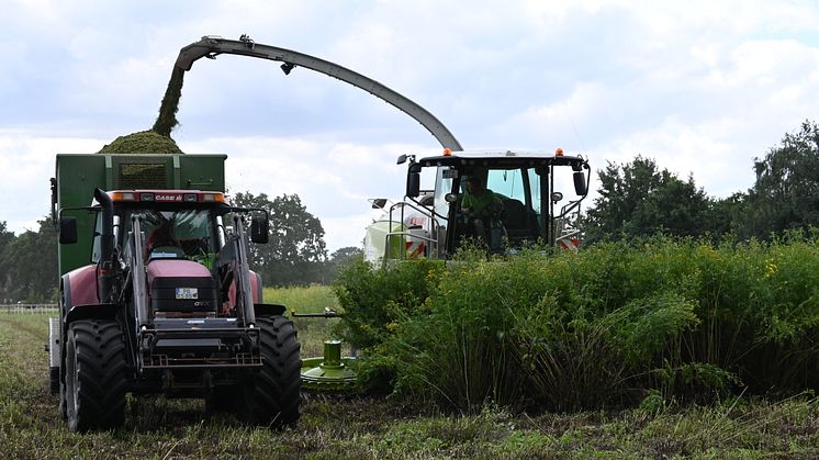 Bildrecht: C. Kemnade/Deutsche Wildtier Stiftung