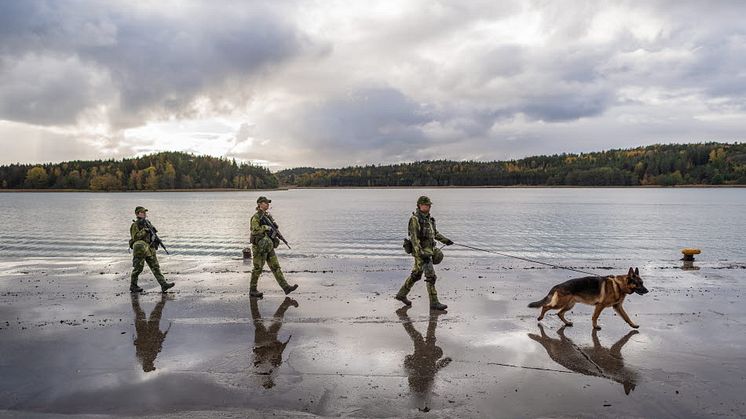 Foto: Bezav Mahmod/Försvarsmakten