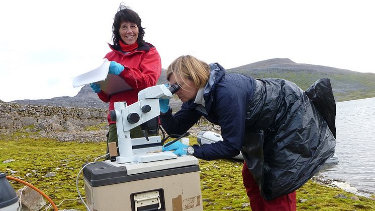 Anita Evenset og Marianne Frantzen, Bjørnøya2014.jpg