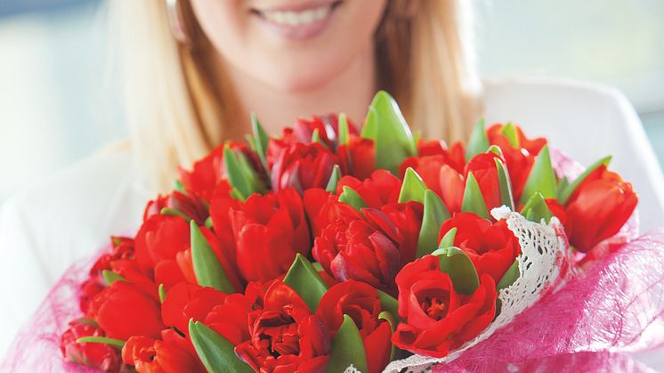 Tulpan och amaryllis är kärlekens blommor