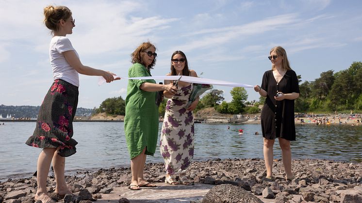 Avduking kunst Langøyene, Andrea Scholze, Familien fra havet