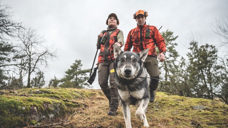 Garmin Alpha 200i koirapaikannin inReach satelliittiviestintäteknologialla lisää turvallisuutta ja helpottaa kommunikointia metsällä 