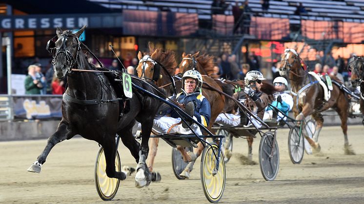 Nuncio segrade i Meadow Roads lopp 2016 och vann sedan Elitloppet samma år.