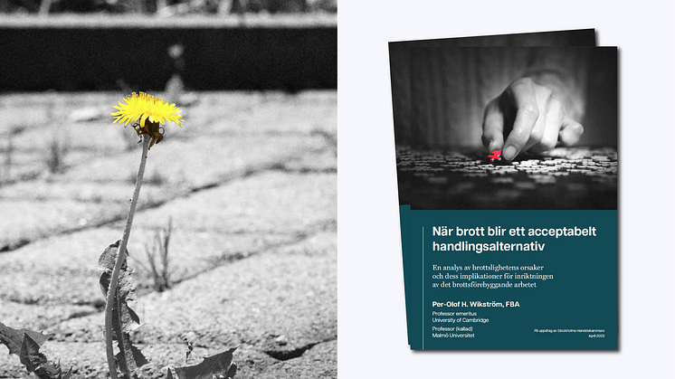 Ny rapport: ”När brott blir ett acceptabelt handlingsalternativ” av Per-Olof Wikström för Stockholms Handelskammare