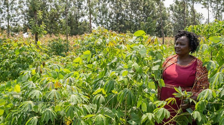 Klimatkrisen akut hot mot världens matproduktion