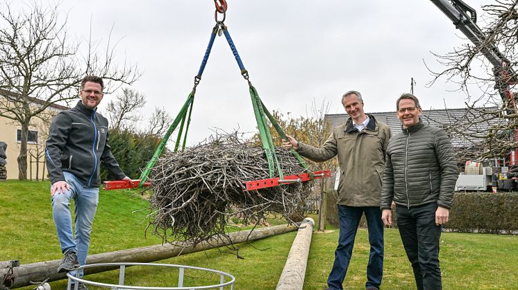 Florian Frank, Leiter Netzbetrieb Königsbrunn/Schwabmünchen LVN, Walter Albrecht, Leiter Kommunalmanagement LEW, und Bürgermeister von Langerringen Marcus Knoll, waren bei der Sicherung des Storchennests vor Ort.  