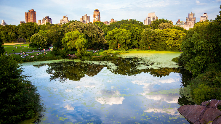 © Hector Argüello Canals / Unsplash