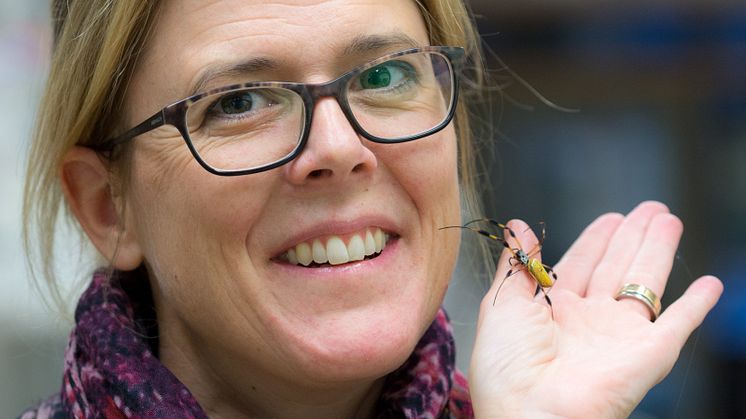 Foto: Lena Holm. Bilden föreställer Anna Rising som håller i en spindel.