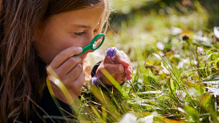 Neues Angebot für nachhaltigen Familienurlaub: Swisstainable Kids 