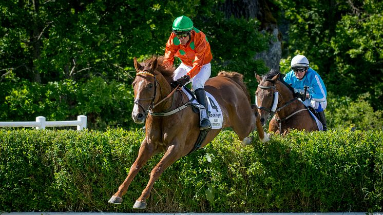 Svenskt Grand National 17 juni