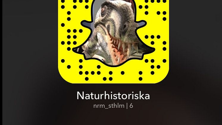 Naturhistoriska riksmuseet börjar snapa 