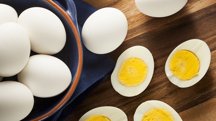 Ny sammanställning av forskningsläget för ägg som livsmedel