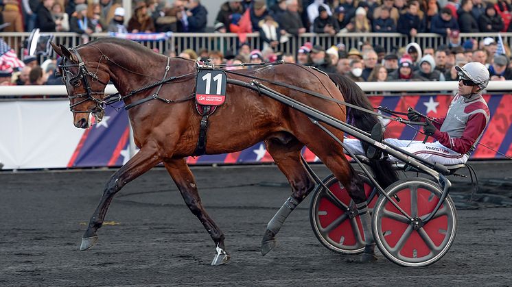 Hohneck är den nionde inbjudna hästen till Elitloppet 2023. Foto: Kanal75