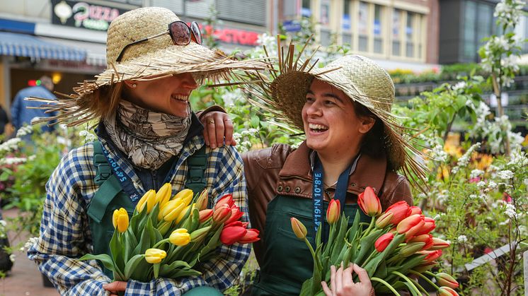 Der April hat viel zu bieten in der Landeshauptstadt. 