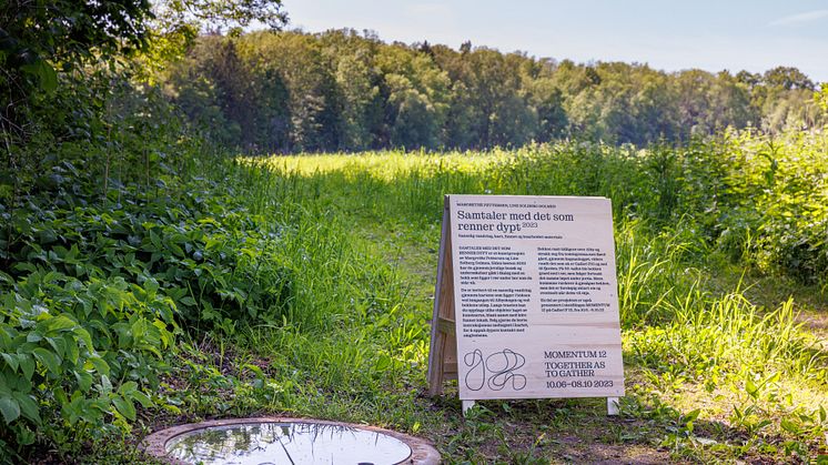 Dolmen_Pettersen-7