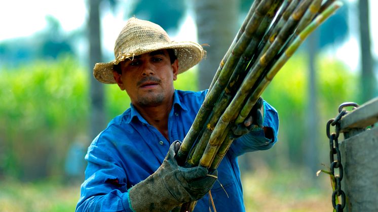 Fairtrade-certifierade producenter & produkter 