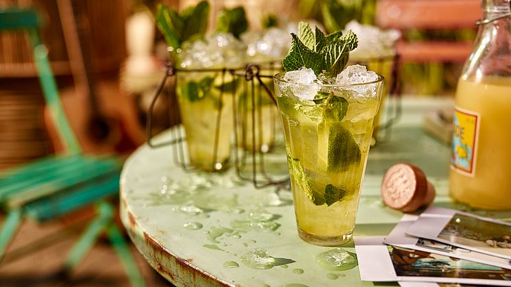 Monkey Mojito