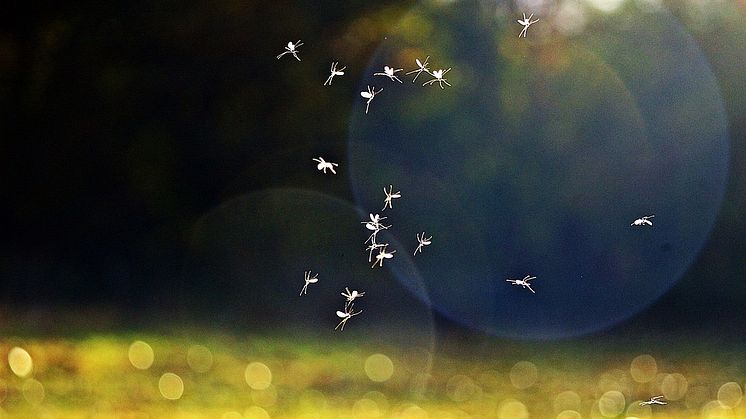 Påminnelse på forslag til DNJ og Stipendkomité