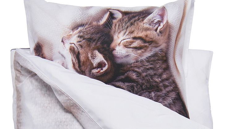 NYHET! Bed set Cat 150x200  cm Polyester 14,90 EUR.jpg