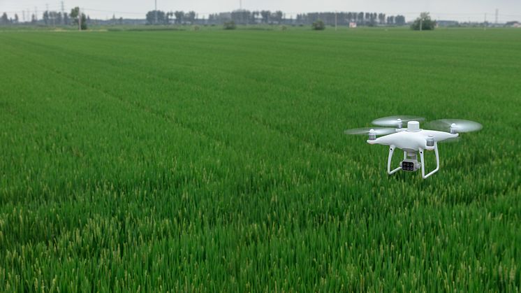 P4 Multispectral Precision Ag 2