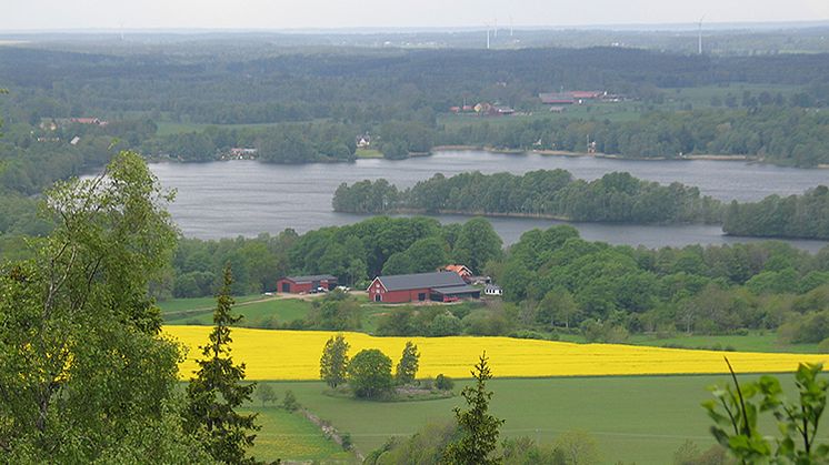 1,14 miljarder till länets lantbrukare