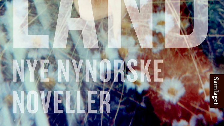 Ny novellesamling med sterke forfattarnamn; "Ingenmannsland"