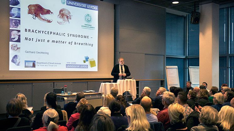 Gerhard Oechtering föreläser vid brakycefalkonferensen 27 februari