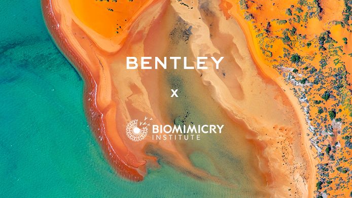 Bentley Environmental Foundation - 3