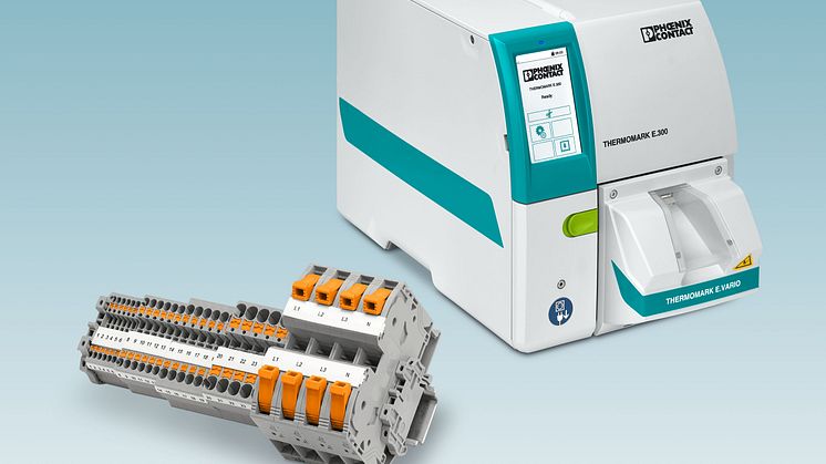 Automated identification of entire terminal strips in a single process step