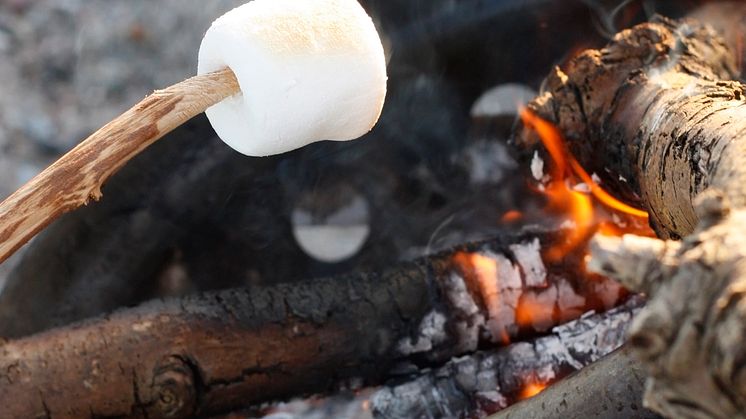 Grillade marshmallows i Stadsparken på måndag
