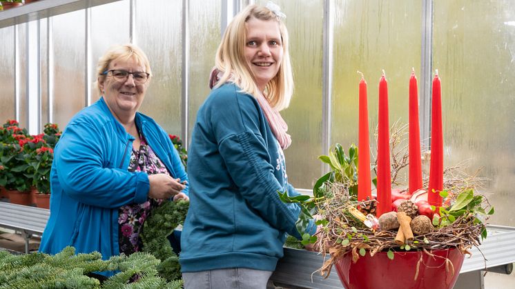 Kranz um Kranz binden Stefanie Schrimpf (rechts) und Sabine Schäfer in diesen Tagen. Gemeinsam mit ihren Kollegen bereiten sie die Adventsausstellung in der Hephata-Gärtnerei am Samstag, 23. November, vor. 