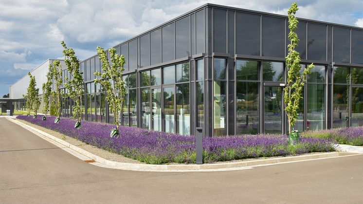 Eduard Gerlach GmbH has built its new company headquarters on the edge of the Lübbecker Moor, thereby demonstrating its commitment to the location, to nature and to sustainability. Picture: Eduard Gerlach GmbH