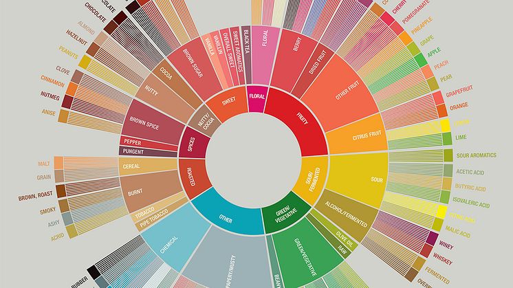 Kurs: The Coffee Flavor Wheel – Smakshjulet