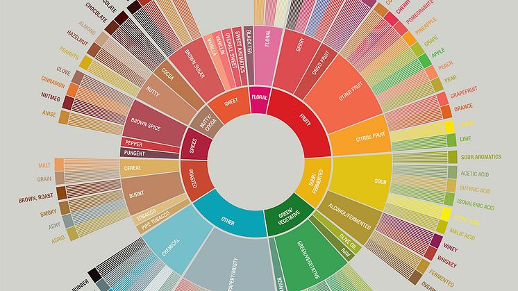 Kurs: The Flavor Wheel – Smakshjulet