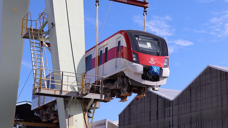 出荷のため船積みされる車両