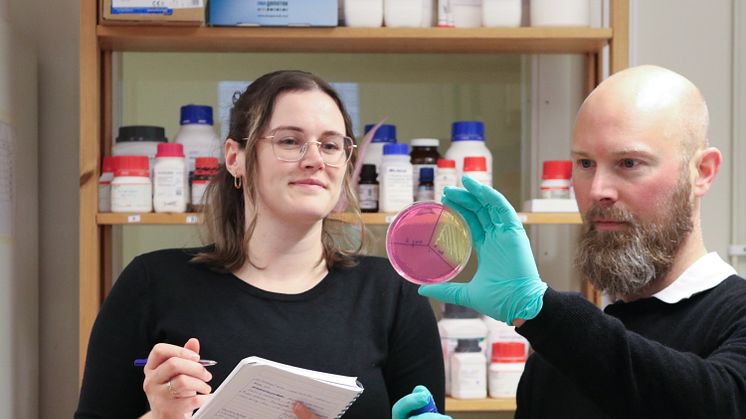 Rachel Feeney, PhD Student, and Björn Schröder, Docent in infection biology, the Department of Molecular Biology at Umeå University. Photo: Anna Shevtsova