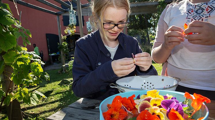 Science Center Malmö Museer bjuder in till kunskapskalas