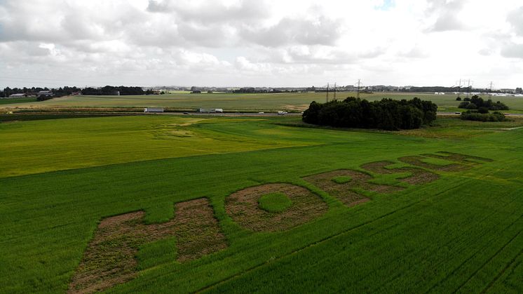 HORSCH från luften