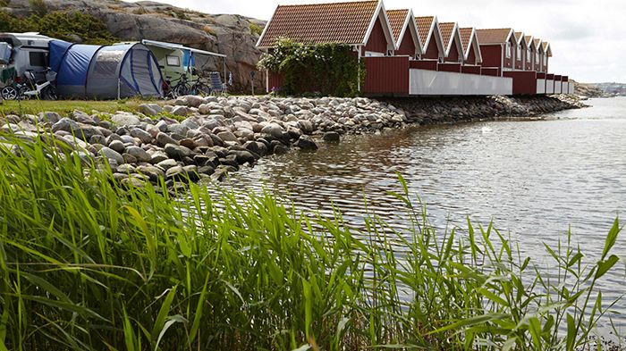 Ökad beläggning på Sveriges campingplatser