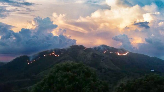 Skovbrandene i Sierra Nevada de Santa Marta, der er hjemfor mange oprindelige folk, er ofte påsatte. Foto: Civil Defence Santa Marta, april, 2020