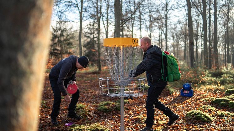 Discgolfparken i Sölvesborg. Foto: Scarp media.