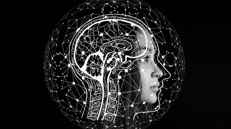 Hjärnan kan användas som guide för behandling av OCD enligt ny studie från Columbia University. Foto: Pixabay. CC0