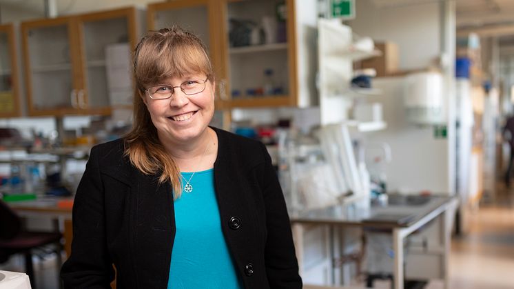 Professor Kerstin Lindblad-Toh, now publishing 11 articles in the journal Science about how the genomes of humans and other mammals have developed over the course of evolution. 