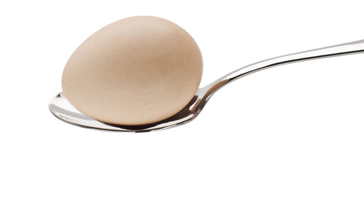 Symbolbild, ägg på sked. Foto: Shutterstock