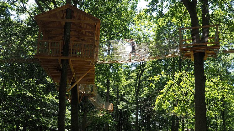 Skånes Djurpark sätter ett tak för antal gäster och sänker priset på ett begränsat antal biljetter under högsäsongen.