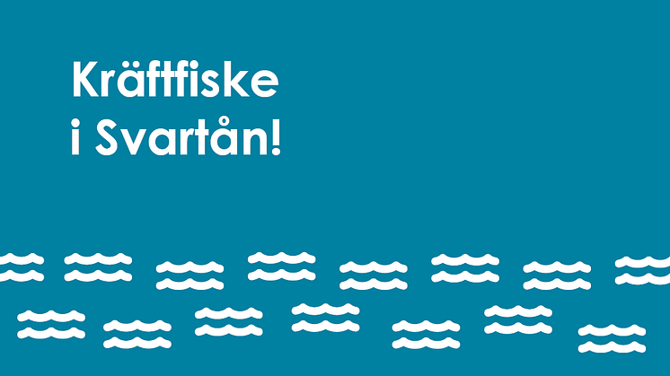 Kräftfiske i Svartån