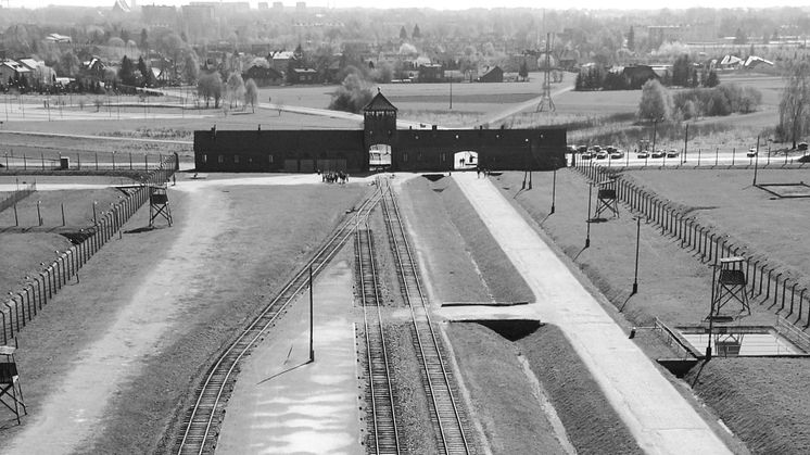 Auschwitz-Birkenau. Foto: Pavel Sawicki